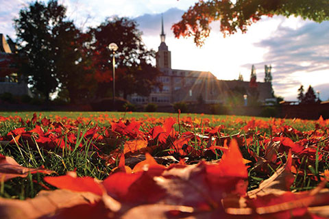 Closeup of fall leaves with the Kearney steeple in the background.